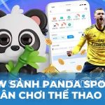 Review Sảnh Panda Sports Tại Kubet