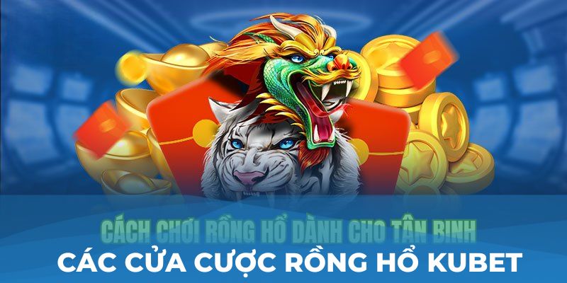 Các cửa cược Rồng Hổ Kubet